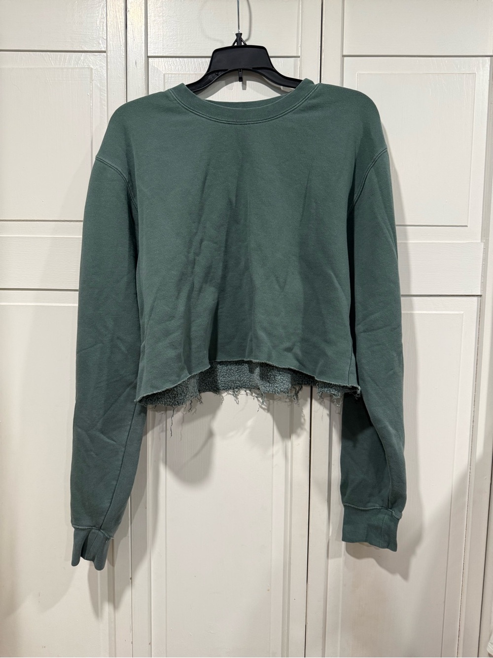 Cropped crewneck size small EUC - Picture 1 of 4